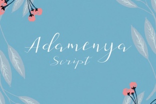 Adamenya Font: Elevating Digital Brand Identity