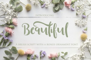 Beautiful Font: A Modern Script for Digital Design