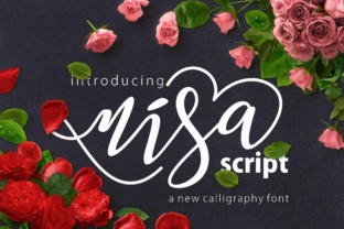 Discover Nisa: A Fresh Modern Script for Editorial Design