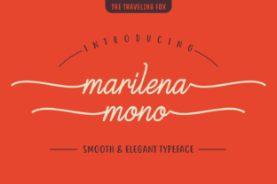 Marilena Mono: A Designer’s Practical Review
