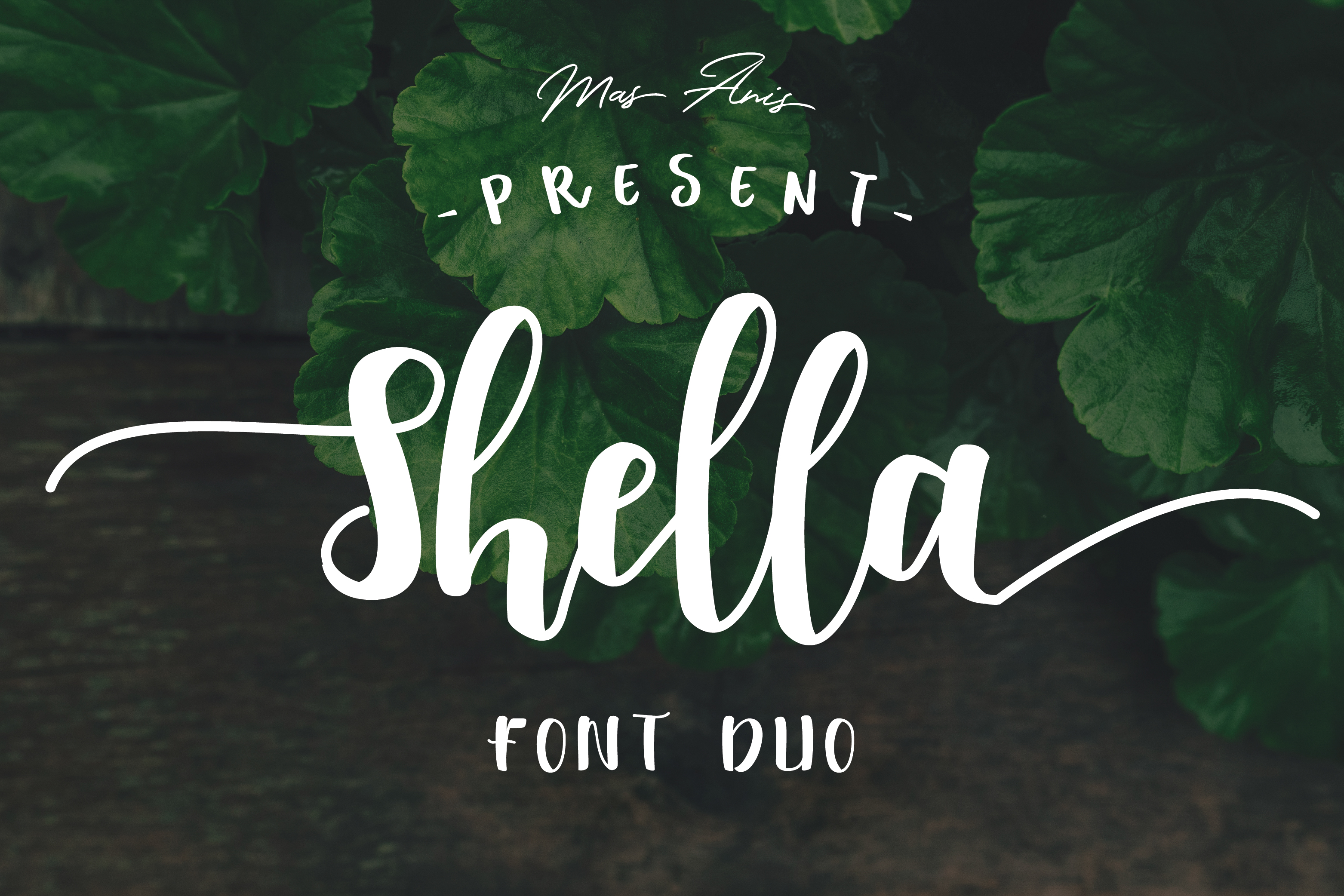 Shella Font Duo: A Warm Typeface for Small Business Branding