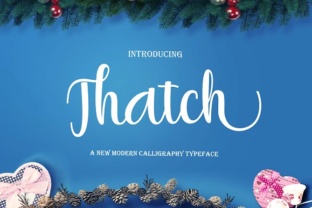 Thatch Font Review: Organic Texture for Modern Branding